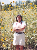 Corim in a sun flower patch